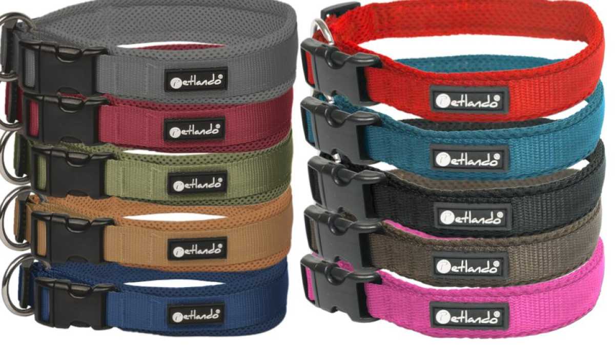 Mesh Halsband Mesh Halsband